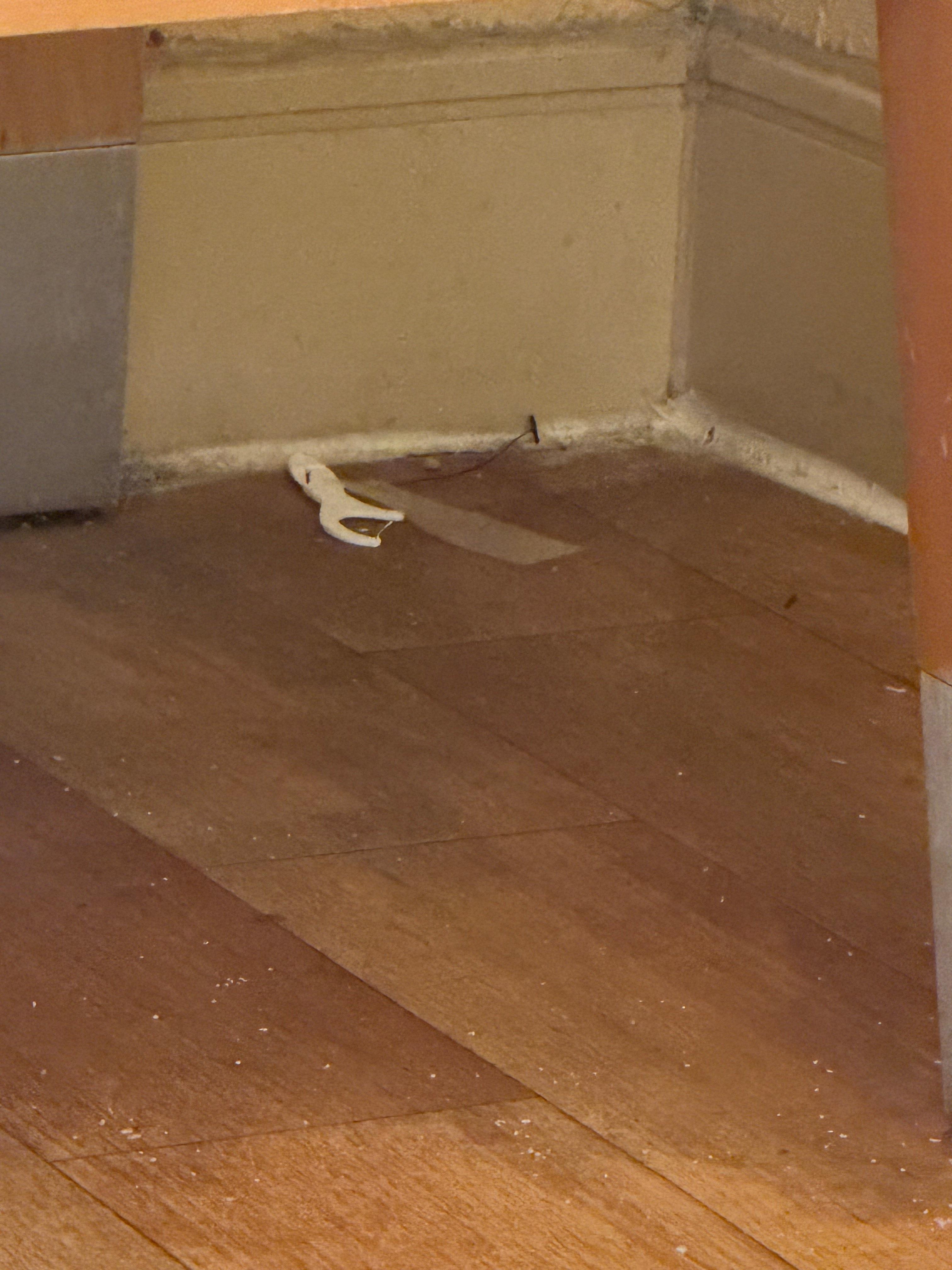 Trash under sink. Someone else’s tooth flosser