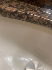 Mold in sink