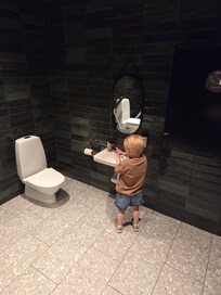 Vid ingången fanns en toalett med både stor och liten del. Väldigt uppskattat av barnen.