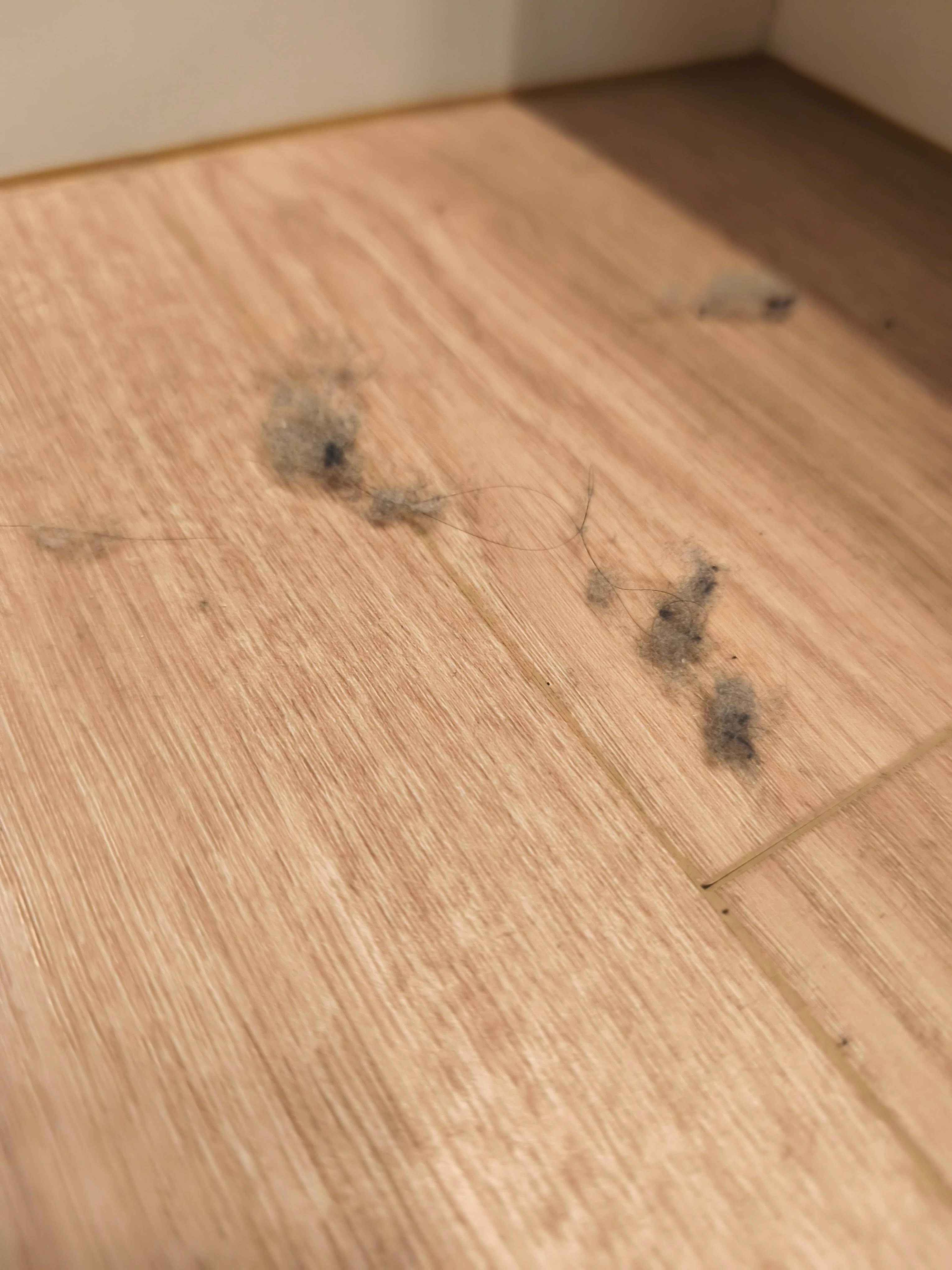 Do primeiro ao último dia de estada.