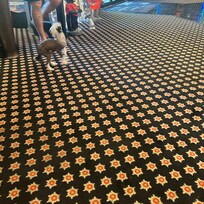 A little at park plaza cinema