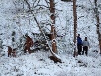 By the mine, big foot says hello.