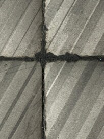 Scum/ mold on the floor in the room.