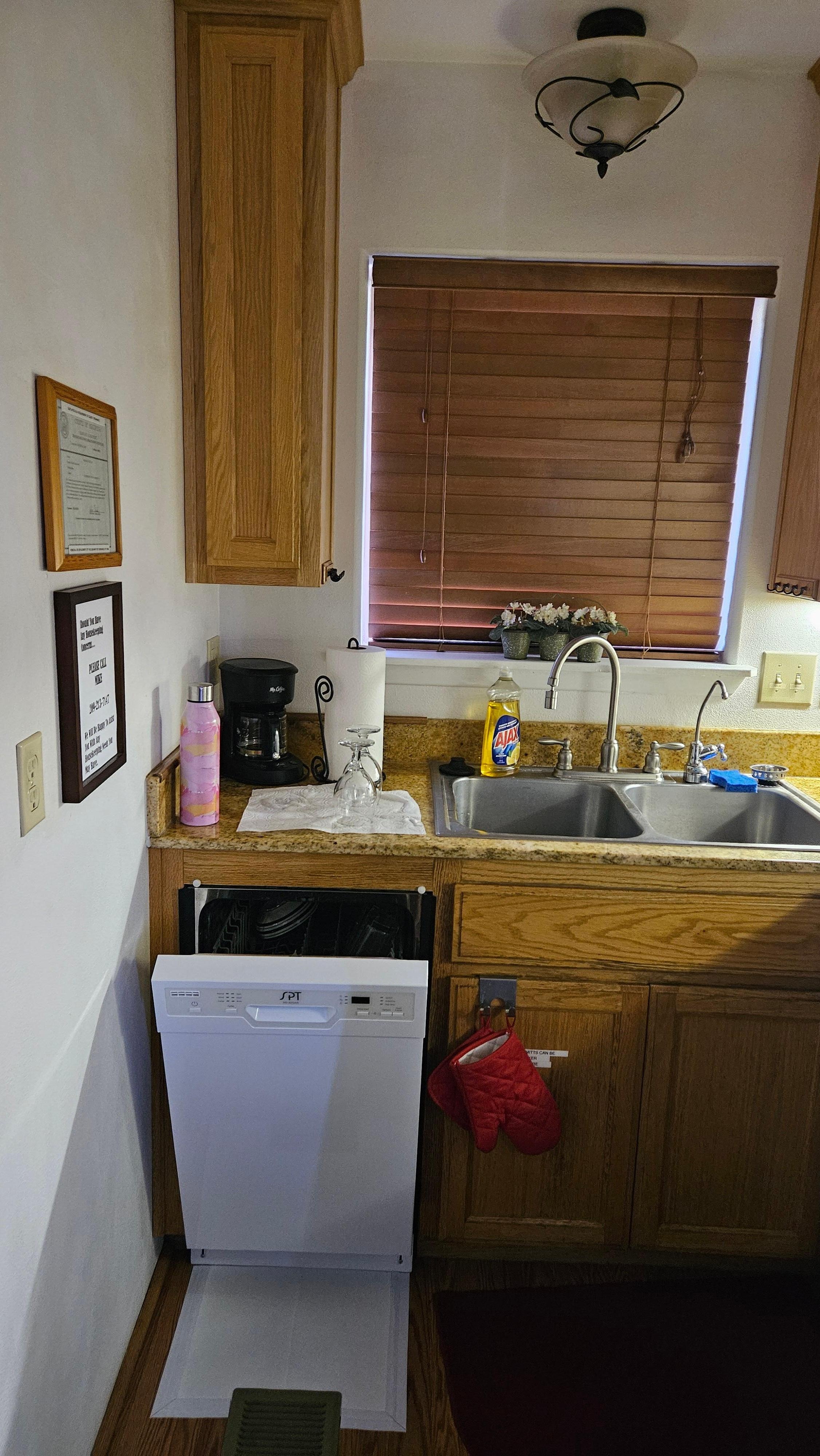 Kitchen (sink and dishwasher)