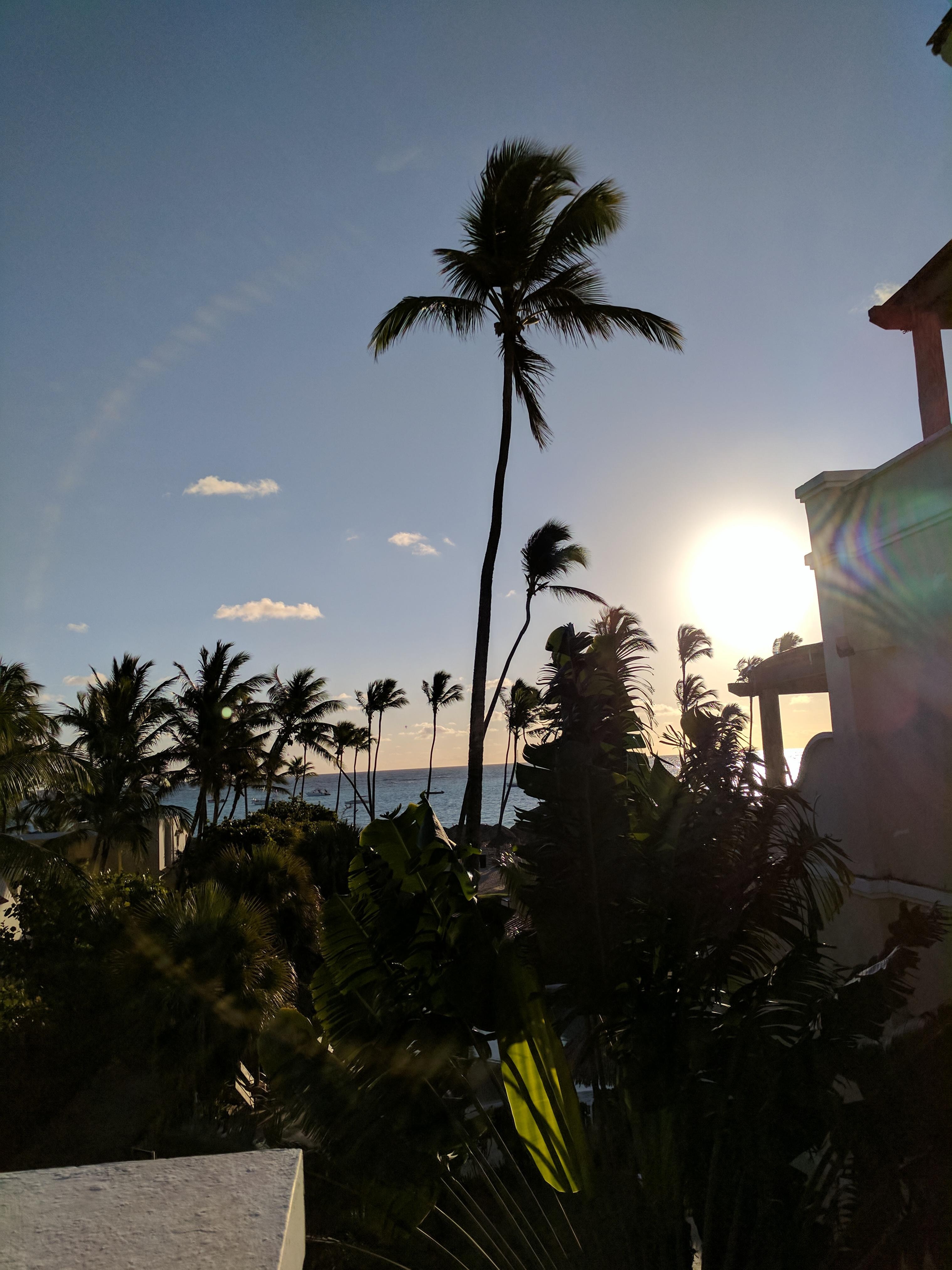 The amazing beach