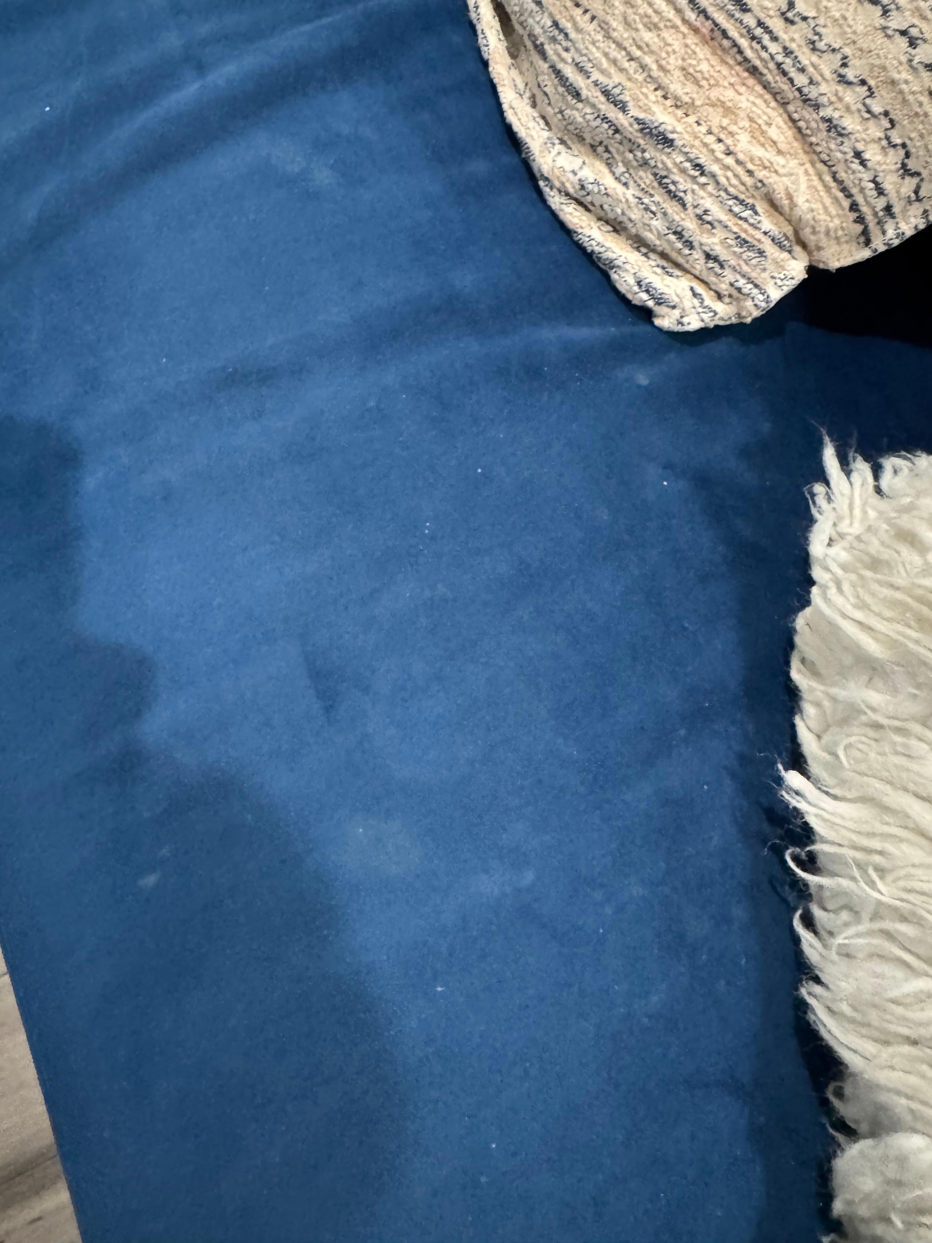 Couch had bodily fluids all over it.