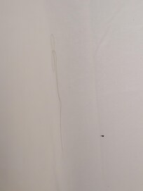 Found someone else's hair on the shower curtain. Unit not properly cleaned.