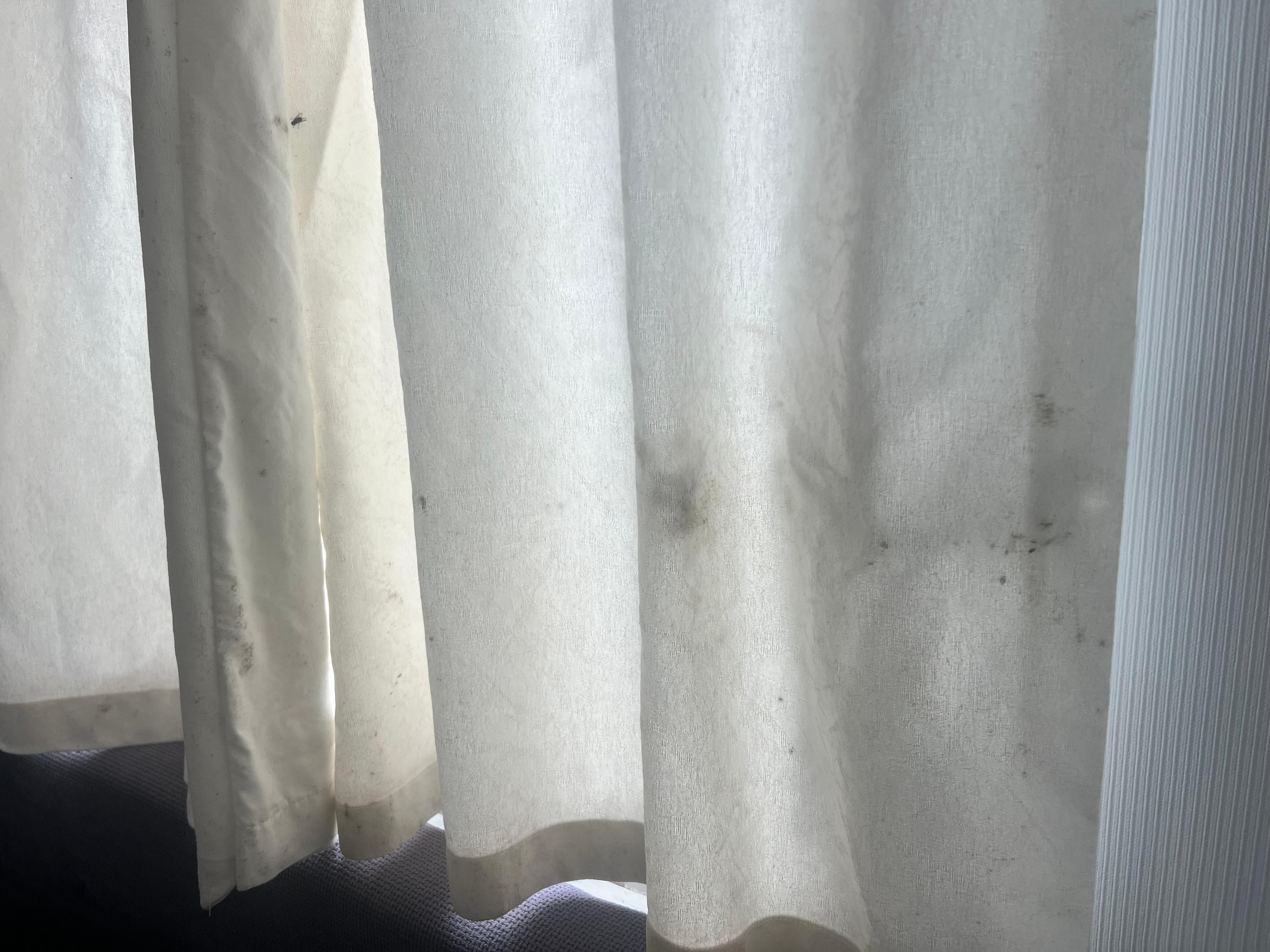 Mould on curtains