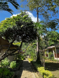 Beautiful gardens