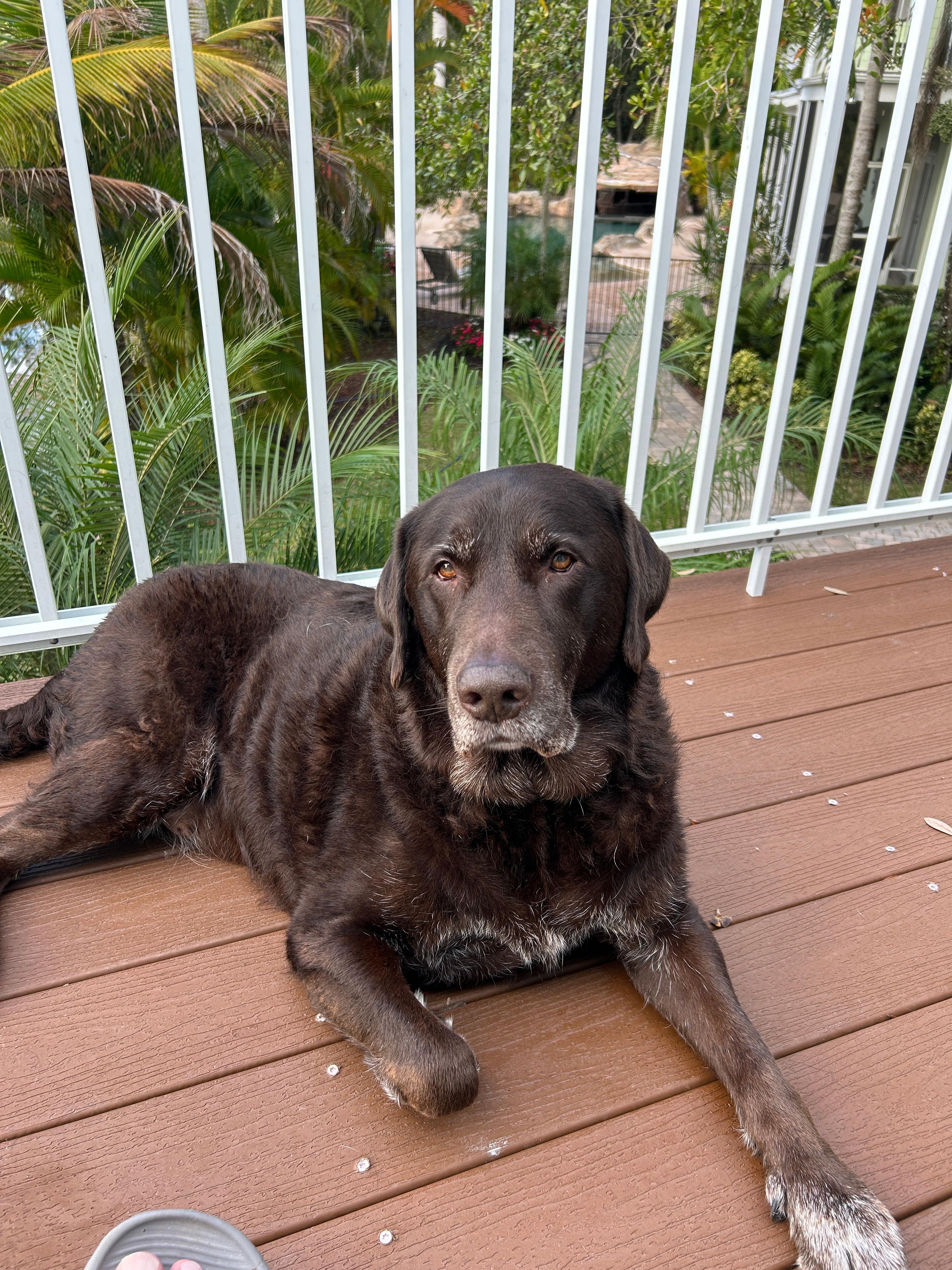 Our boy that loved it too.  