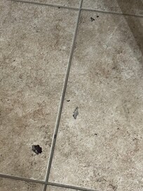 Floor under barstool
