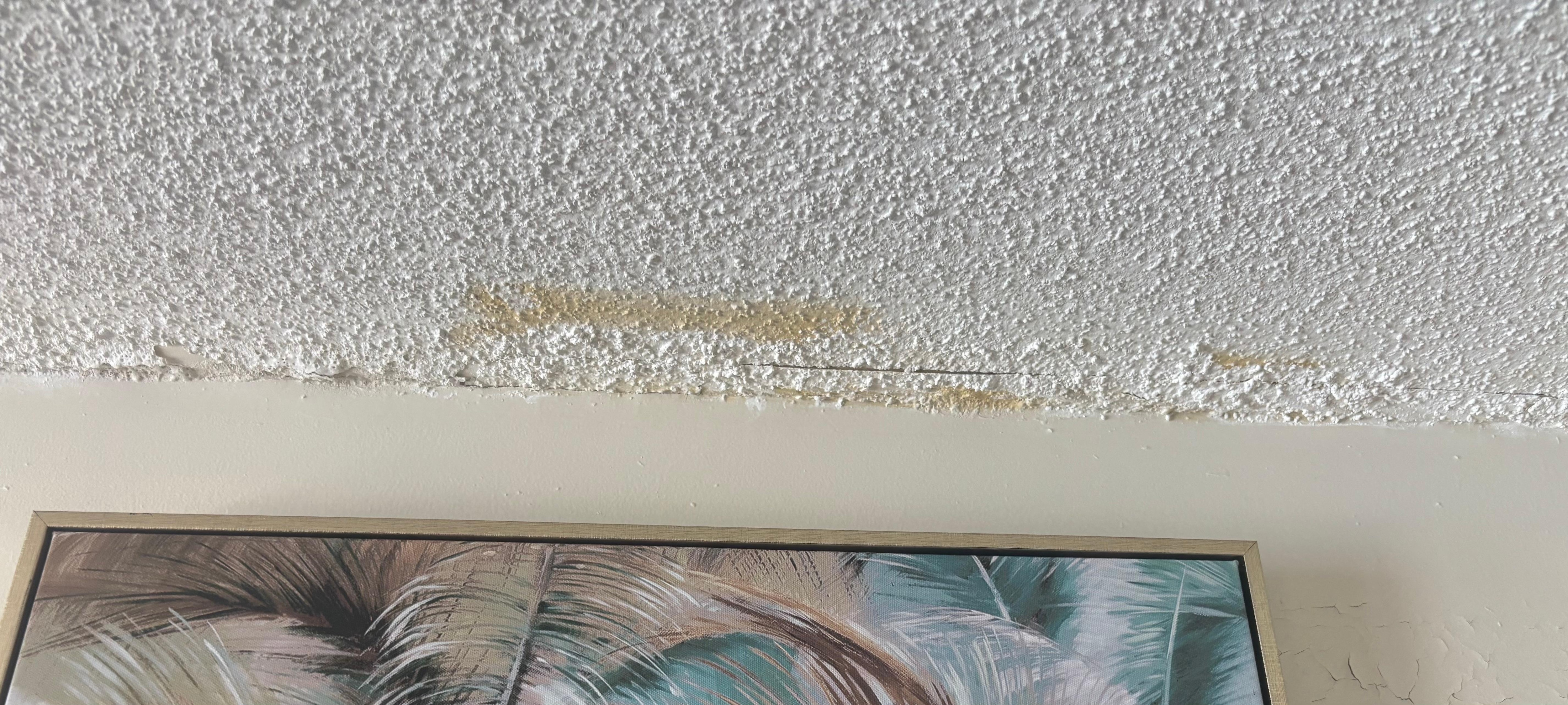 Master bedroom mold