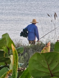 Every morning fishing and catching