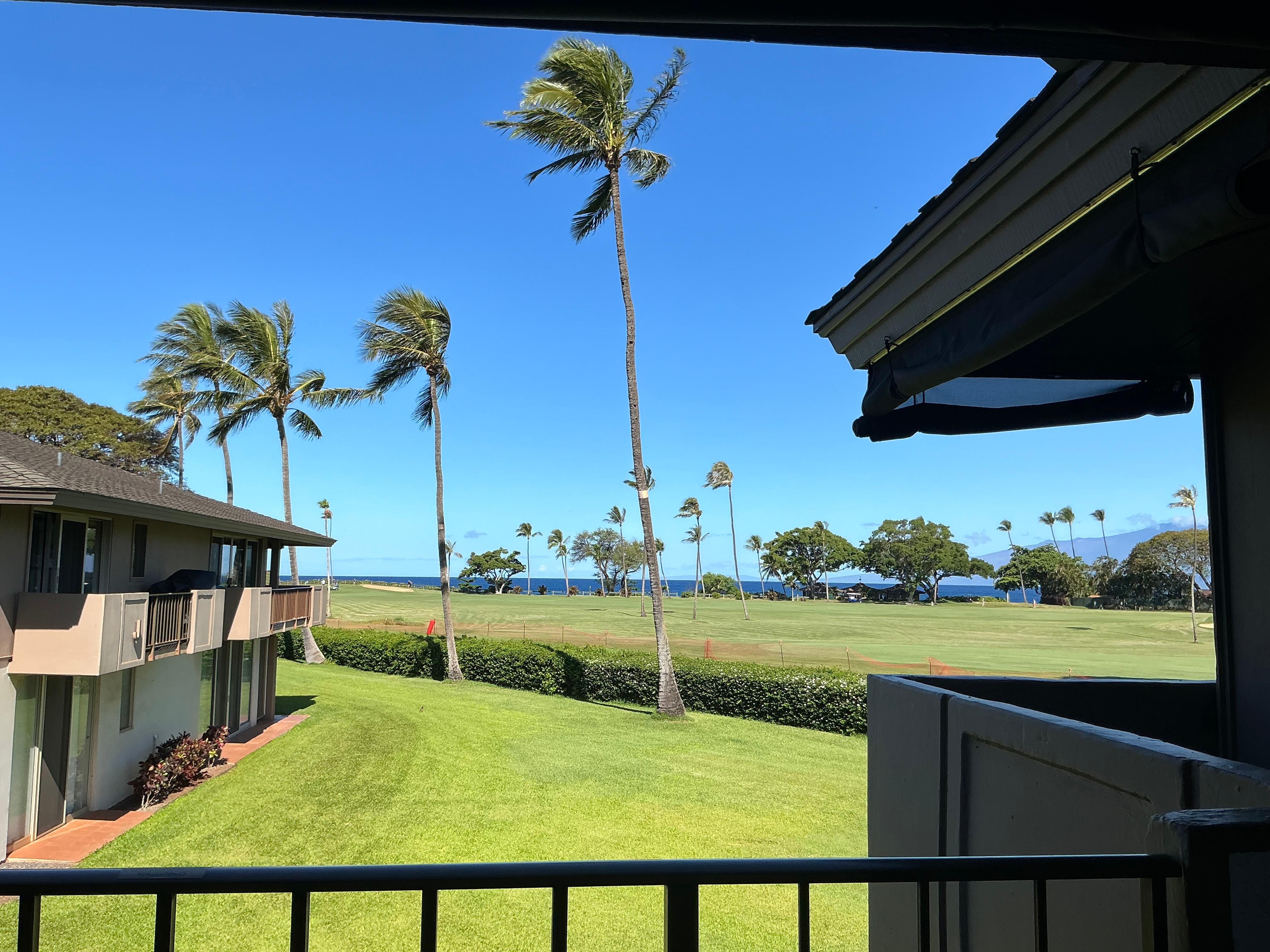 Daytime view from lanai. 