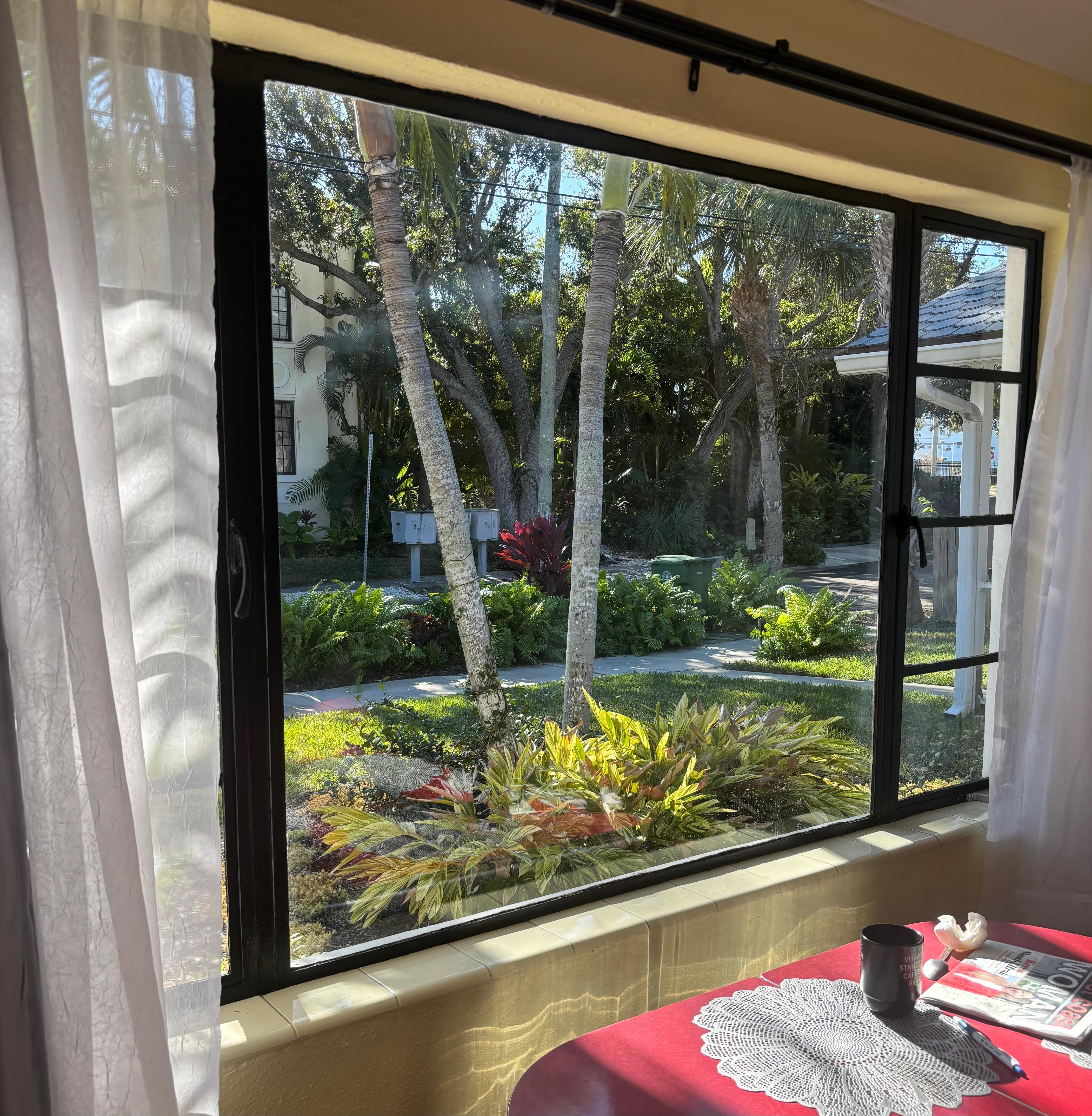 The view out the front window!