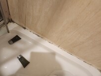 Mould