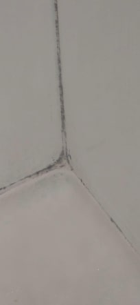 Mould in shower