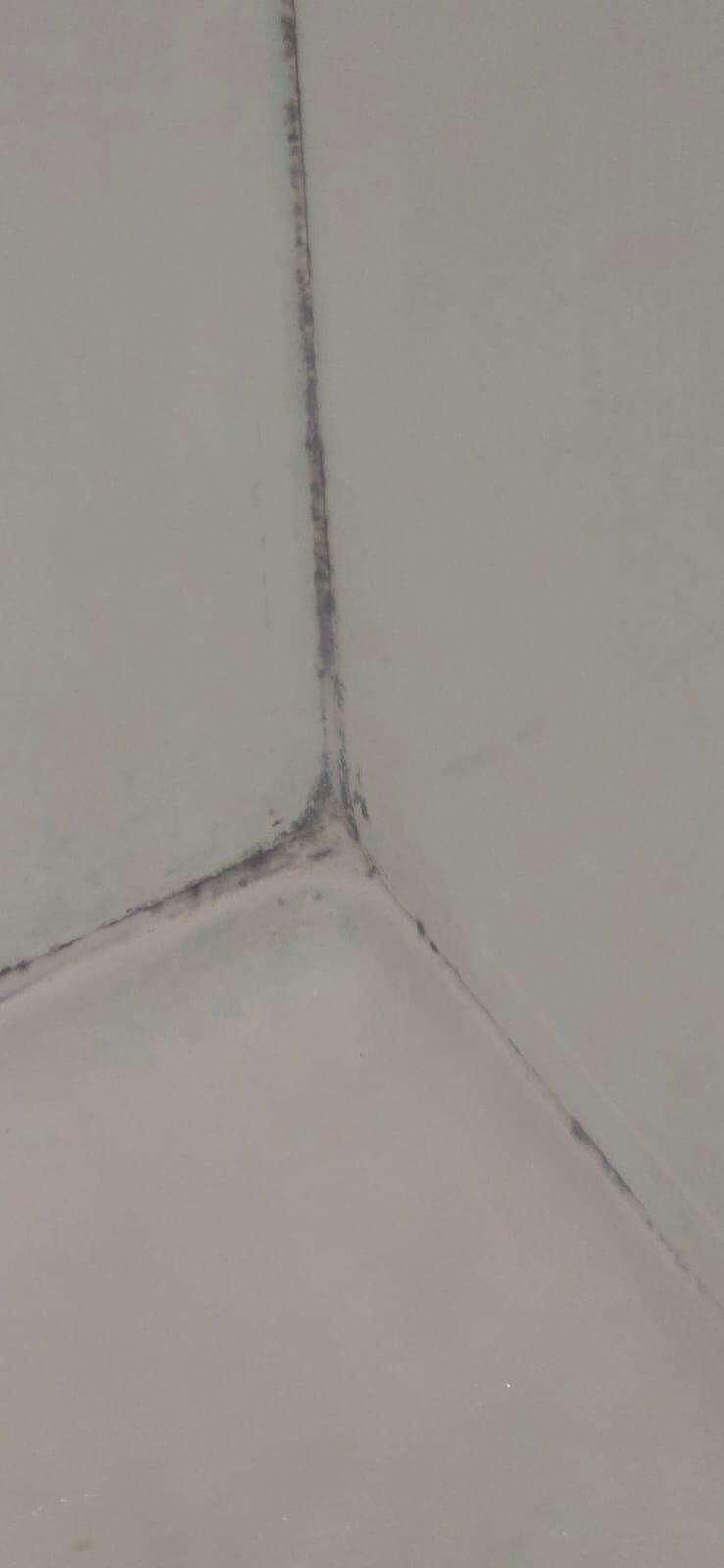 Mould in shower