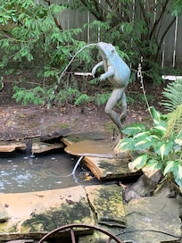 Pond on the patio