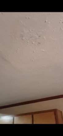 Ceiling leak