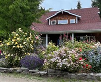 Purple Haze Lavender House-a fabulous place to stay!
