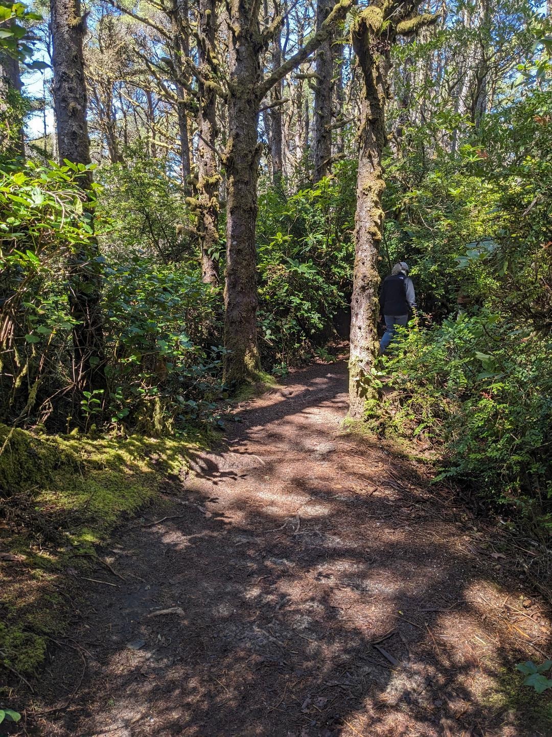 Hiking through the woods to Hobbit Beach