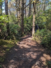 Hiking through the woods to Hobbit Beach