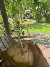 Love the coconut that staff take effort to get me some