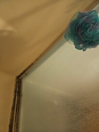 Mold in shower