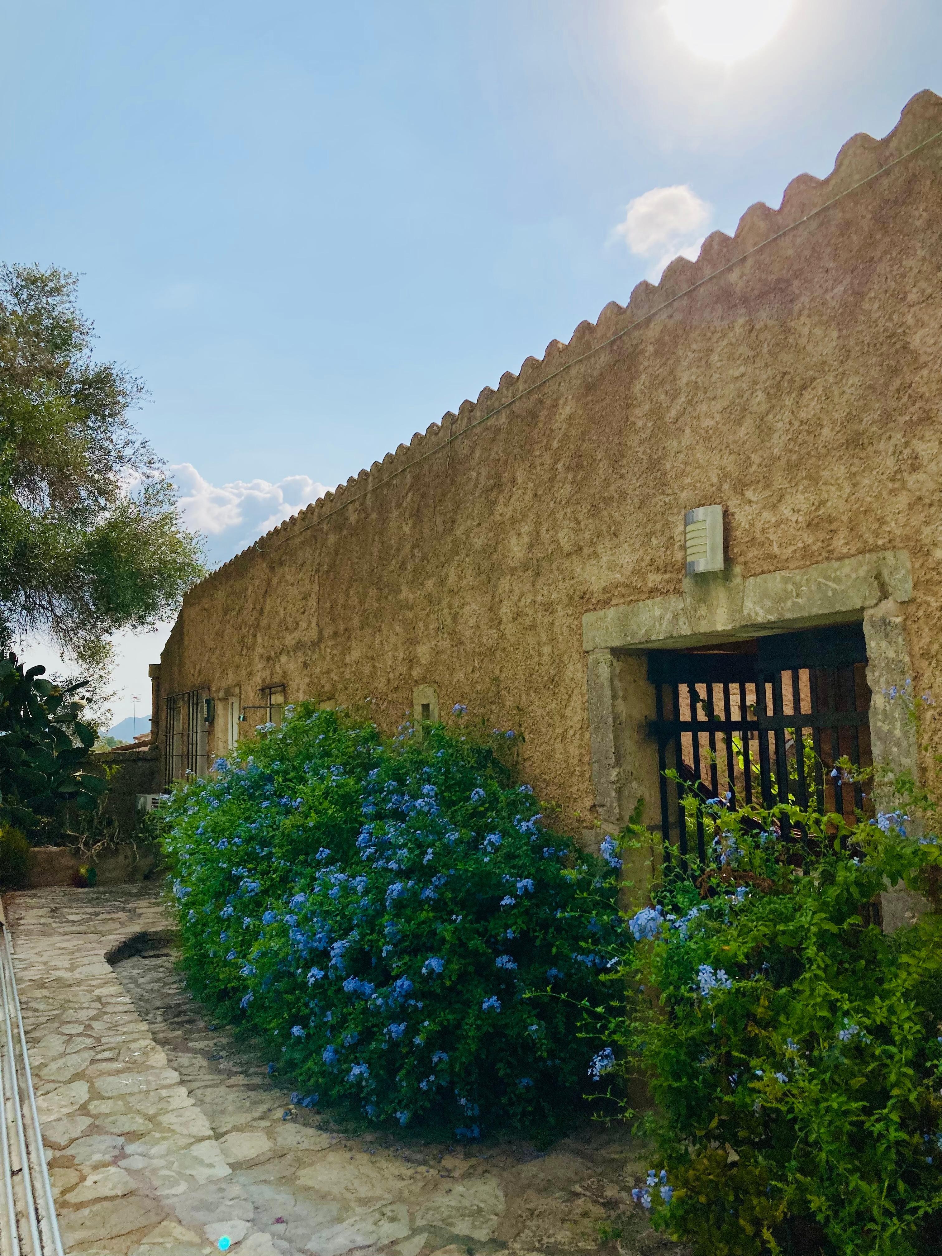 Blick vom Pool zum absperrbaren Tor