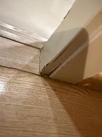 Rot and water damage