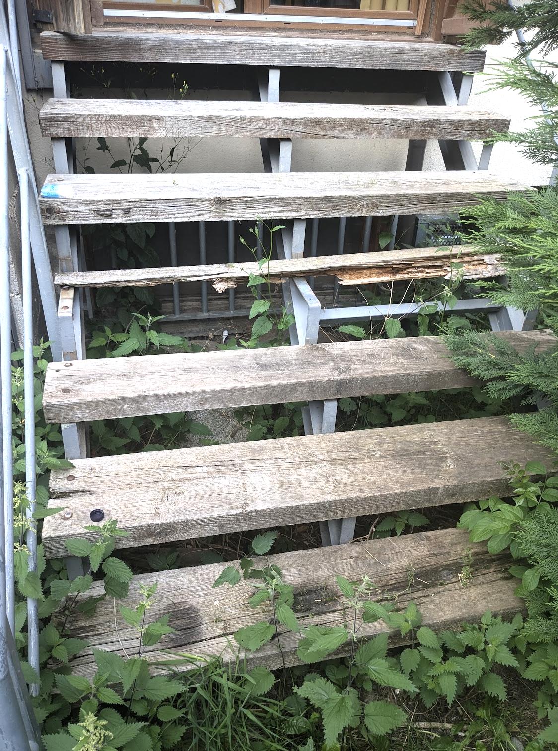 overgrown steps with one broken/missing.  if you're a lawyer maybe it's a good place to get hurt.