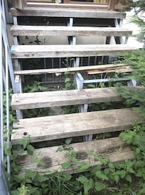overgrown steps with one broken/missing.