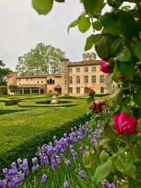 View from the rose walk