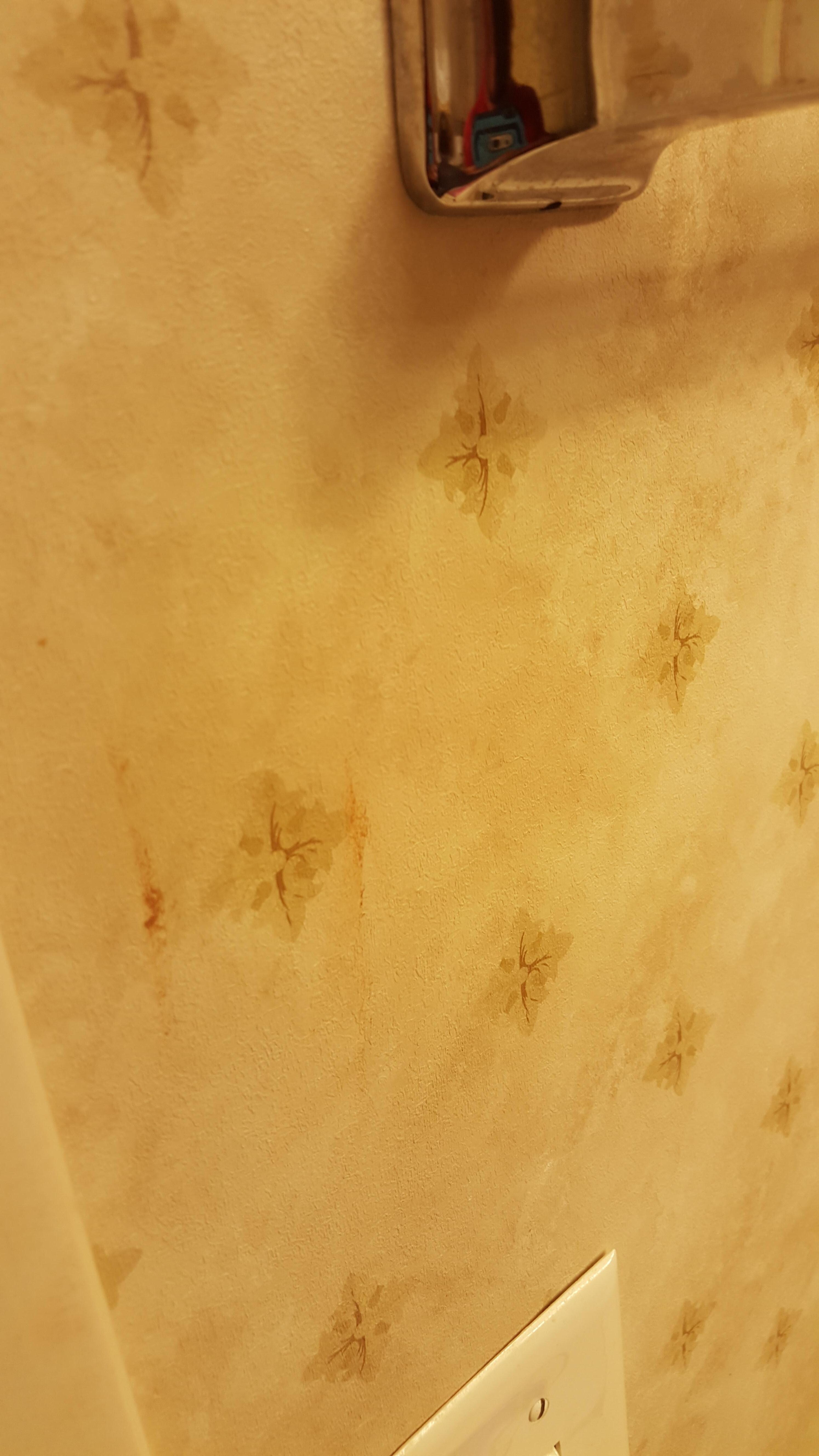 Mold