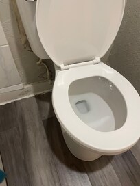 Looks broken and mold