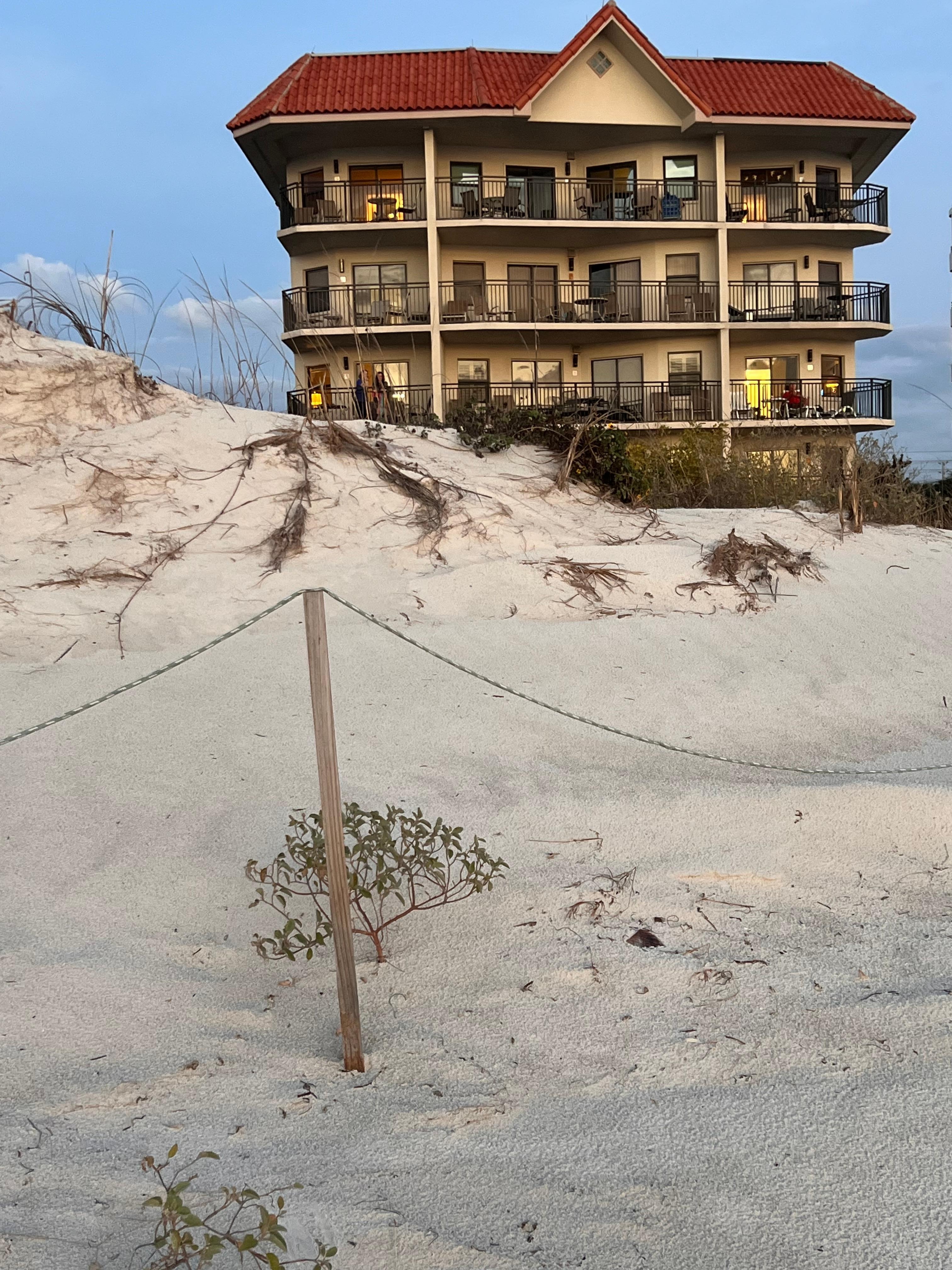 View of the building from the beach