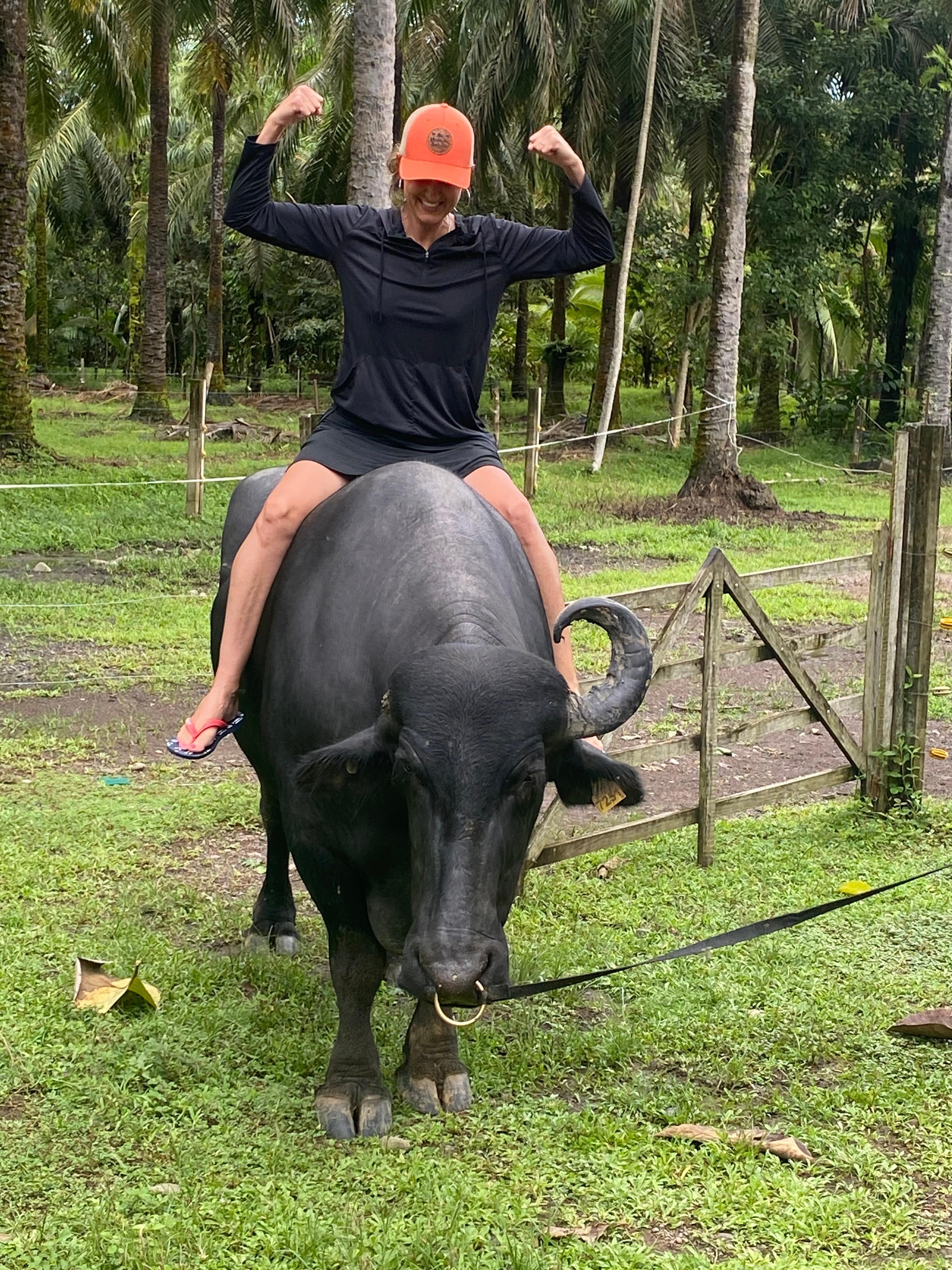 Riding Bulls  Who knew