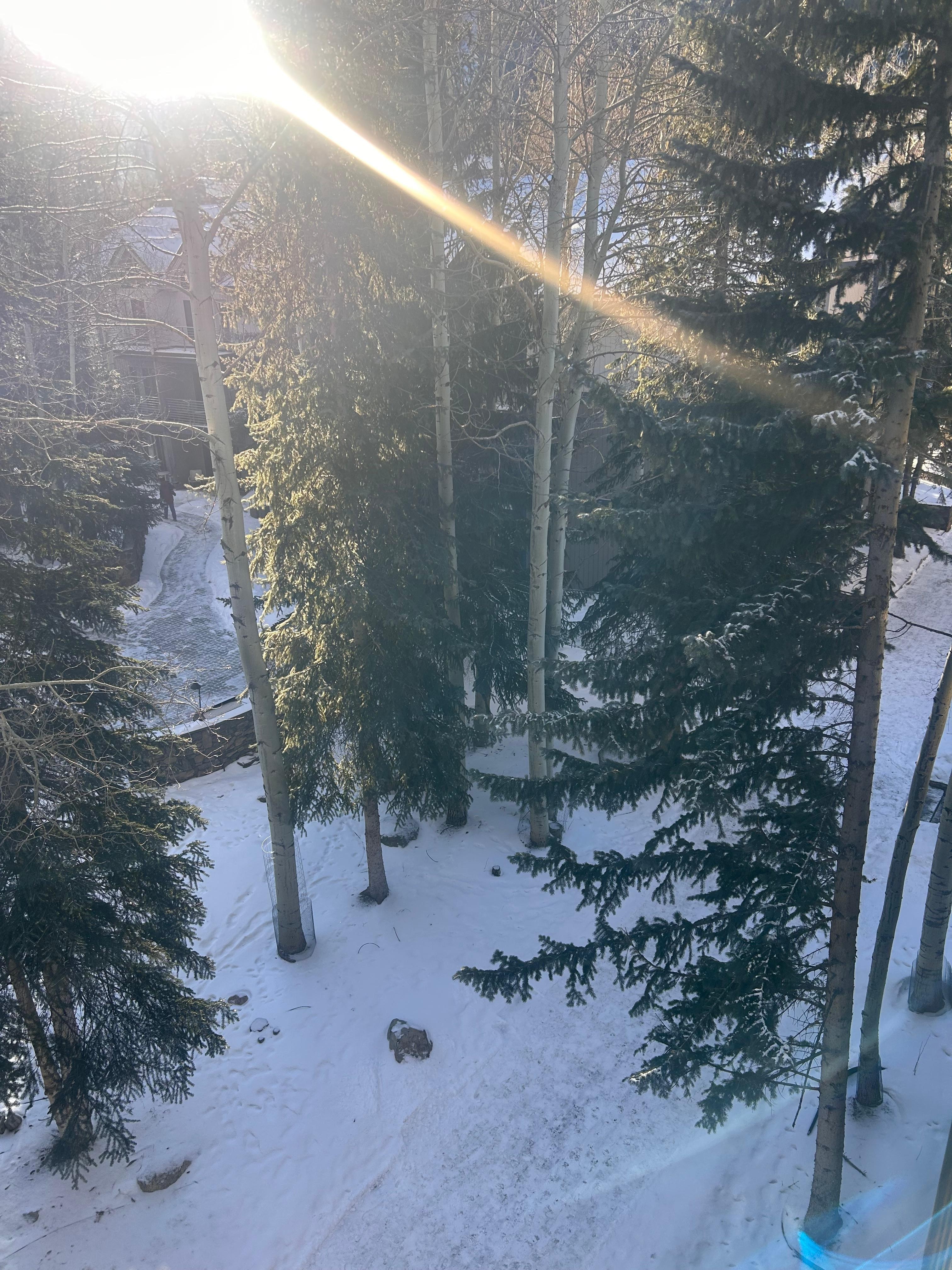 The view from the patio was beautiful! 