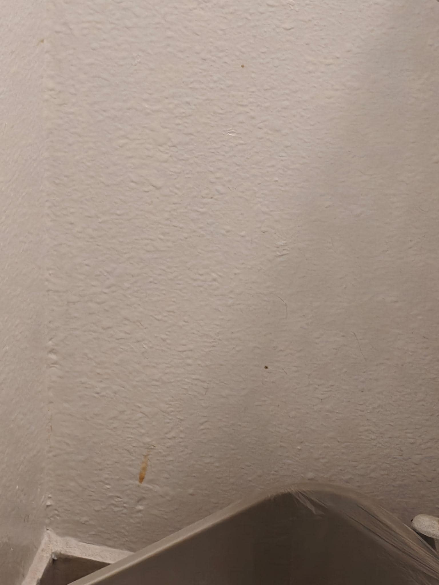 Stains on wall next to toilet