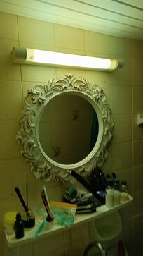 Neanche nelle stazioni dei treni si vedono più questi neon. Unica illuminazione del bagno. Terribile!