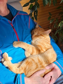 Jackson enjoying a cuddle