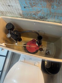 No chain/broken chain. Had to manually lift the res plug for it to flush.