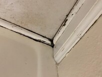 Molded bathroom floor.