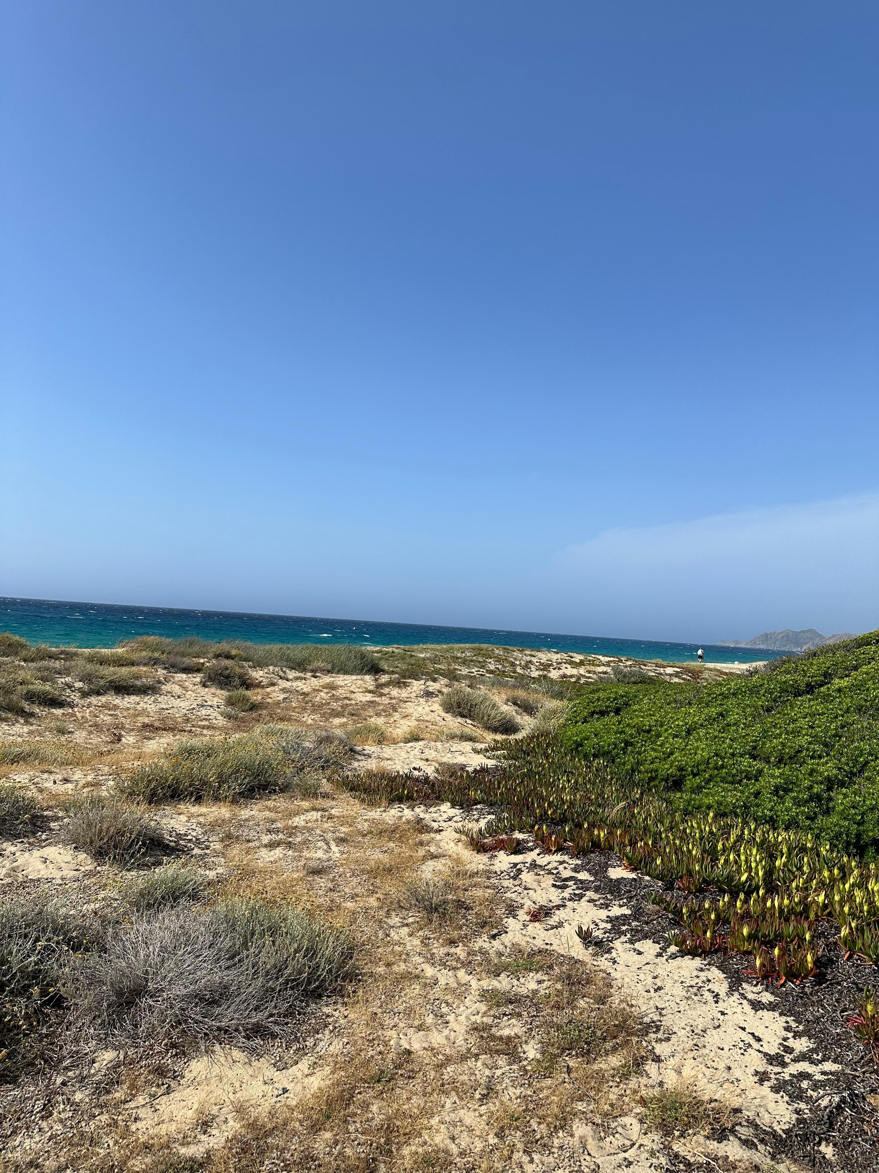 Weg zum Strand Belgodere