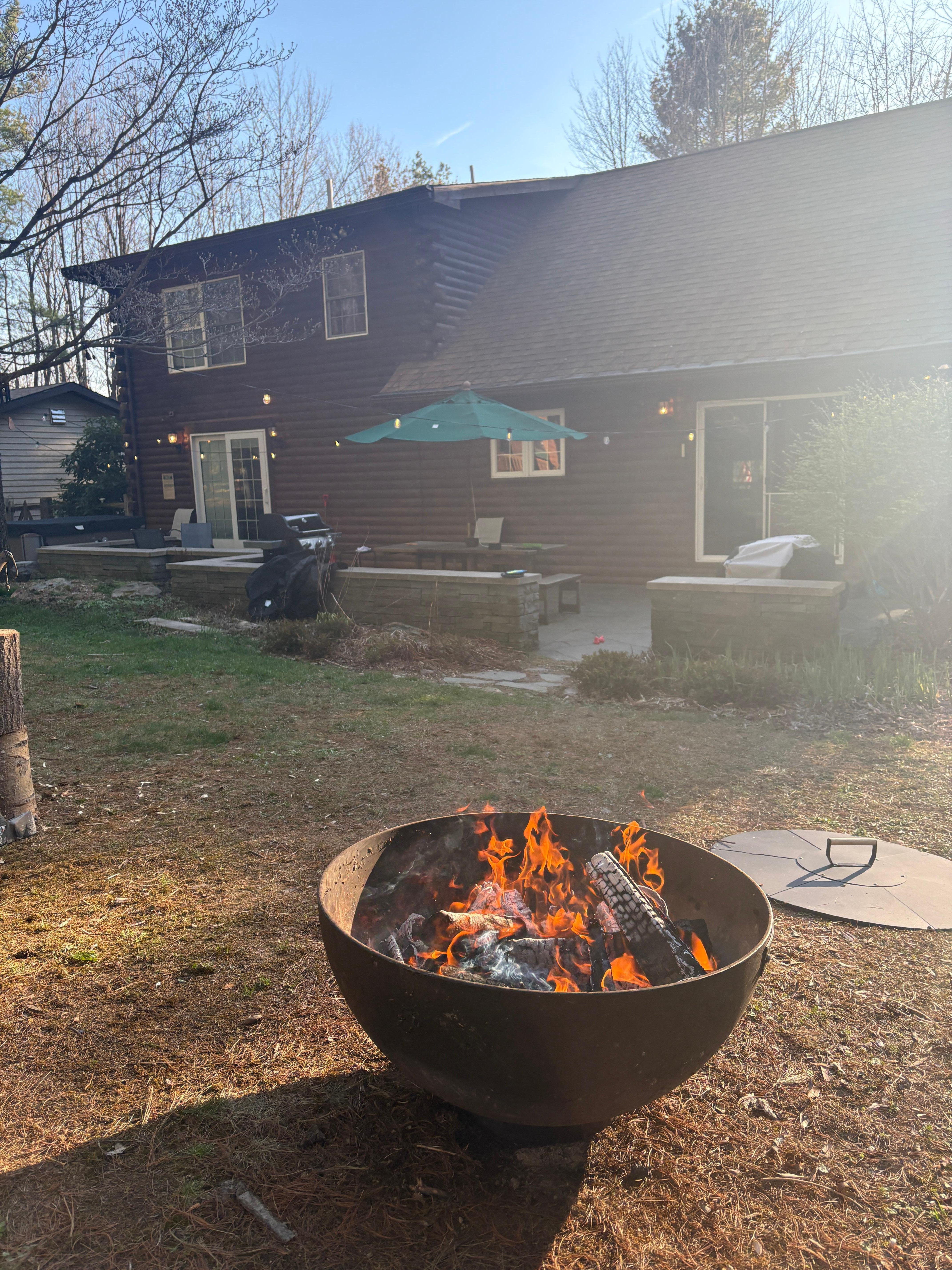 Back yard 