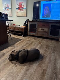 My baby relaxing on his vacation.