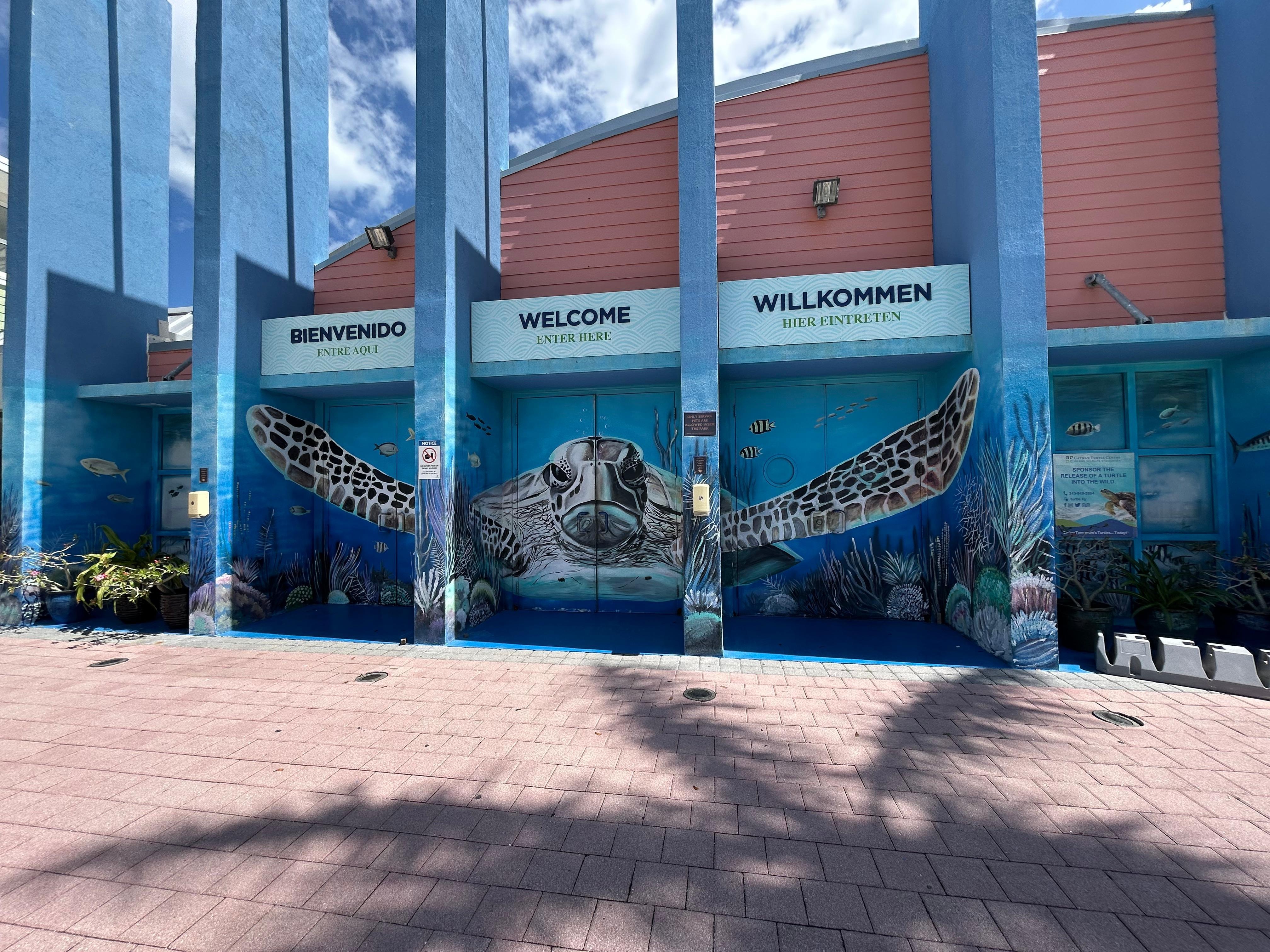 caymen turtle centre