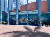 caymen turtle centre