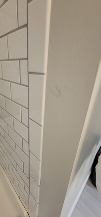 Hair in shower